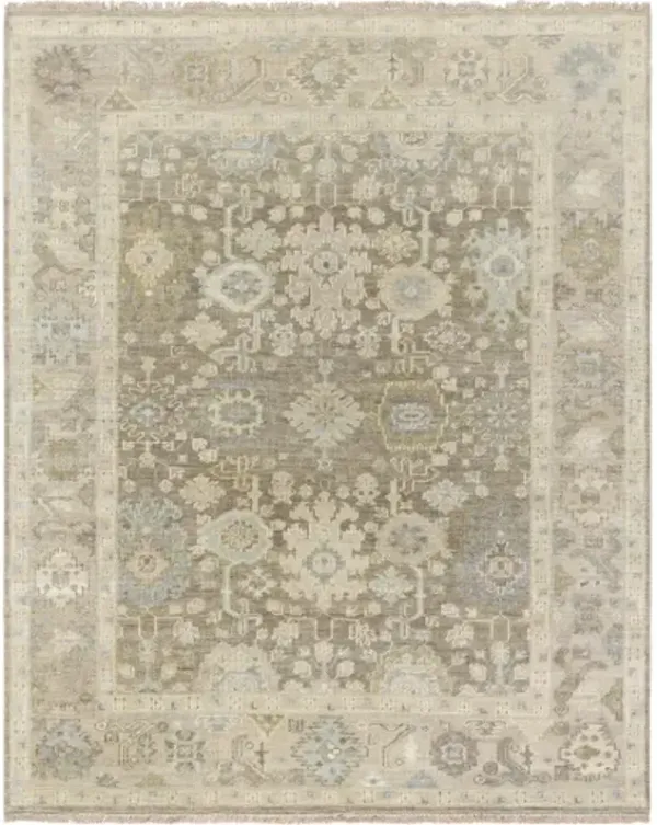 Antalya AAT-2312 2' x 3' Handmade Rug