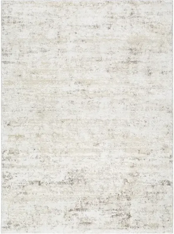 Andorra Plus ARP-2305 2' x 2'11" Machine Woven Rug