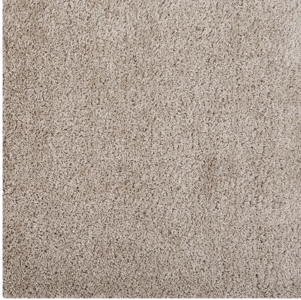 Enyssa Solid 5x8 Shag Area Rug