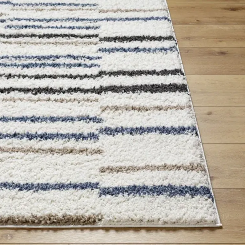 Birmingham BMM-2306 6'7" x 9' Machine Woven Rug