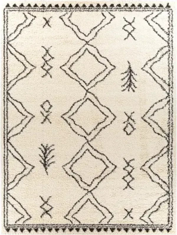 Beni Shag Rug