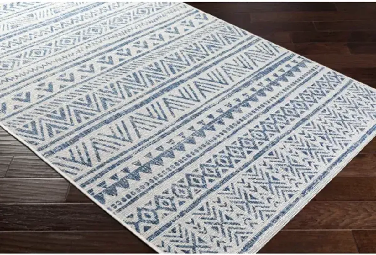 Eagean 8'10" x 12' Rug