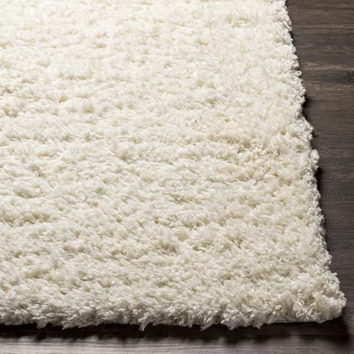 Angora 2'3" x 3'9" Rug