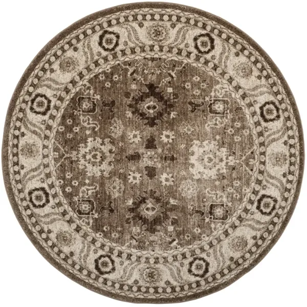 VINTAGE HAMADAN 214 TAUPE 11' x 11' Round Round Rug
