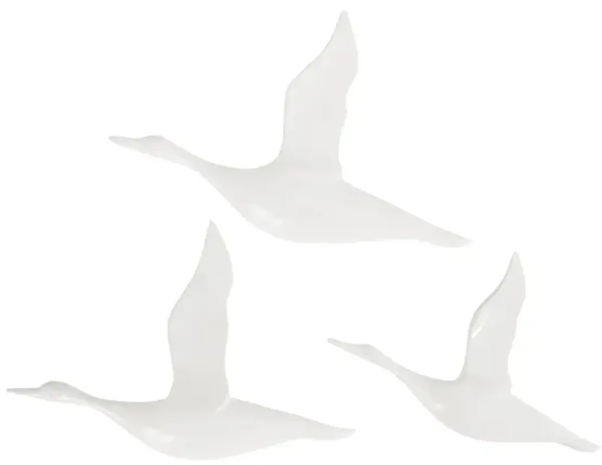 Flying Ducks, Gel Coat White, Set of 3