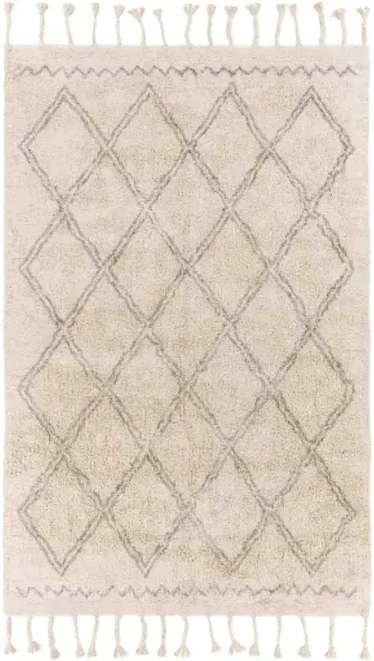 Khemisset 2'6" x 4' Rug
