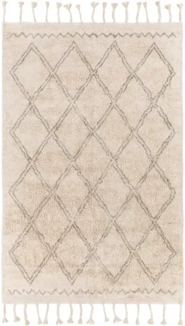 Khemisset 2'6" x 4' Rug