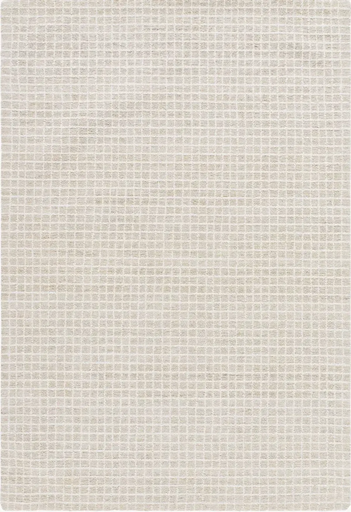 Andreas 8' x 10' Handmade Rug