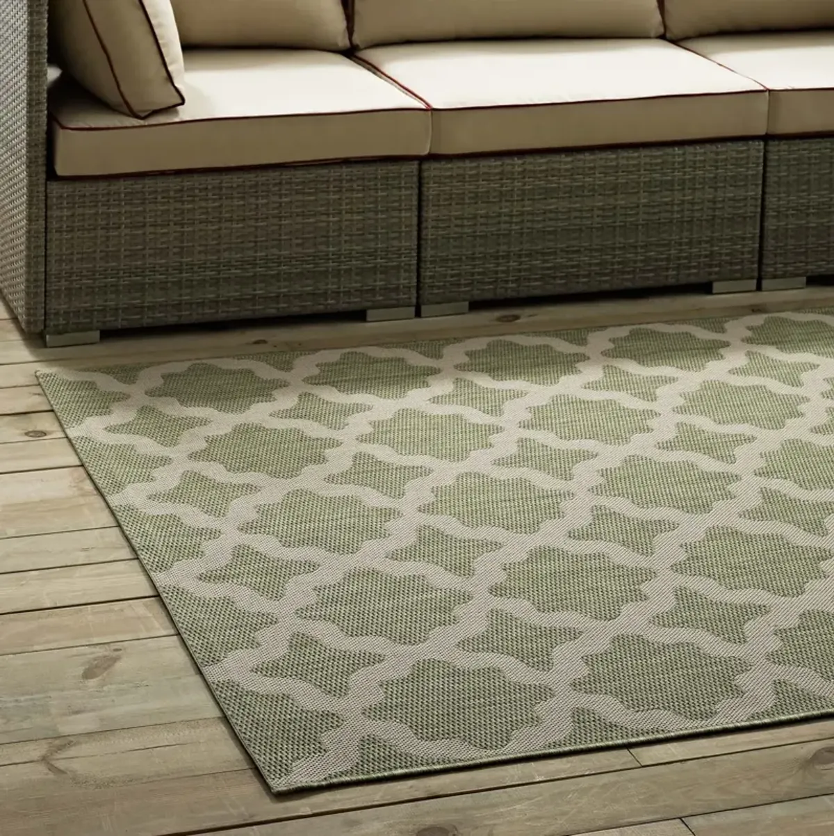 Cerelia Moroccan Trellis 4x6 Indoor and Outdoor Area Rug