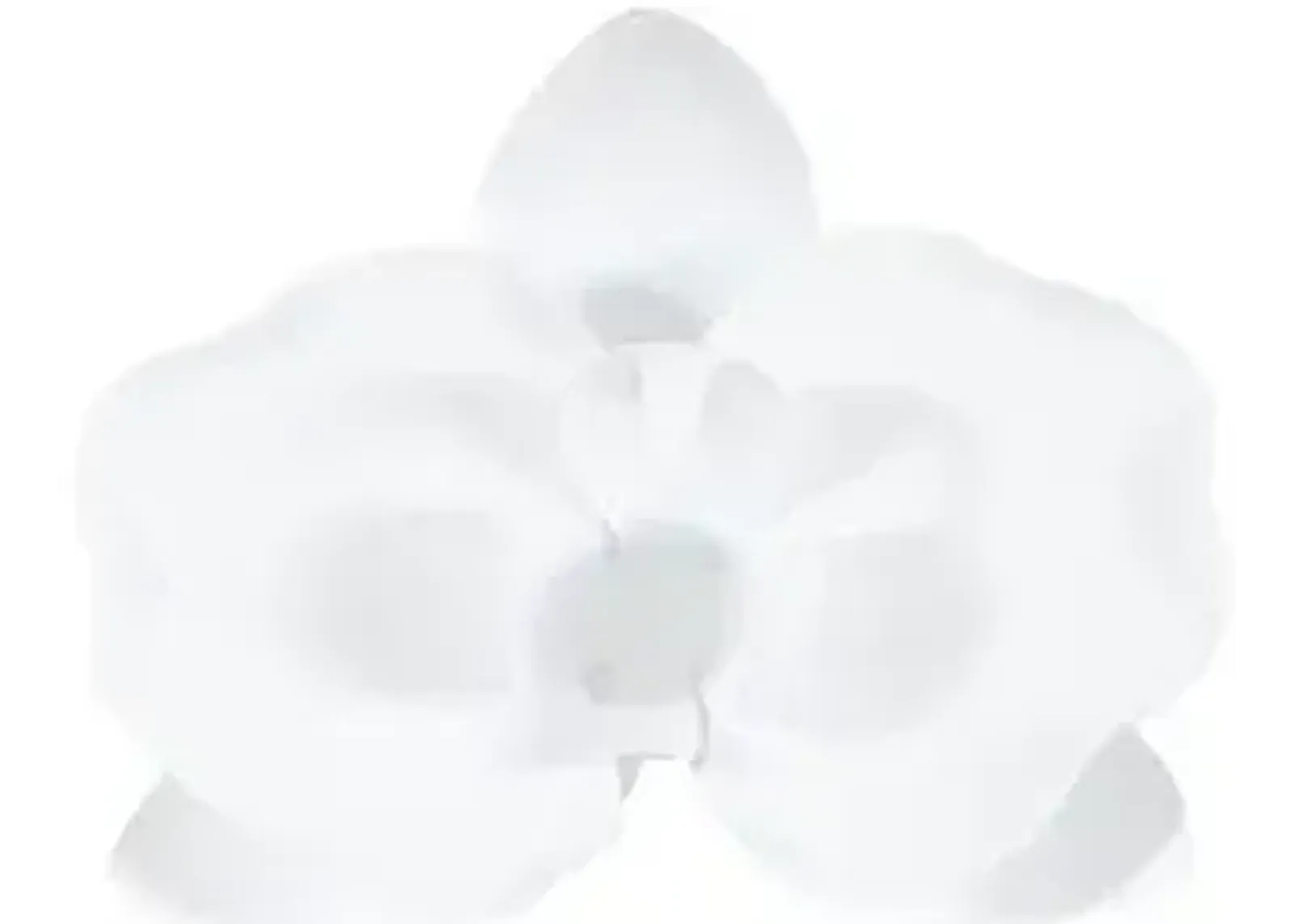 orchid flower wall decor, white, metal