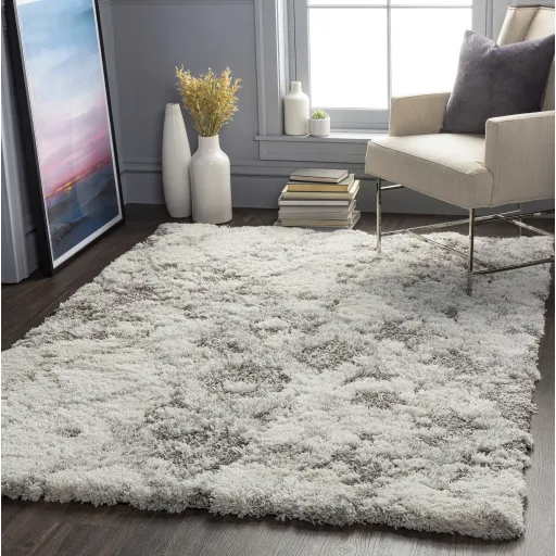 Alta shag 2' x 3' Rug