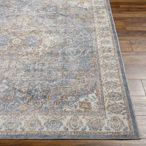 Lillian LLL-2321 2'2" x 3'9" Machine Woven Rug