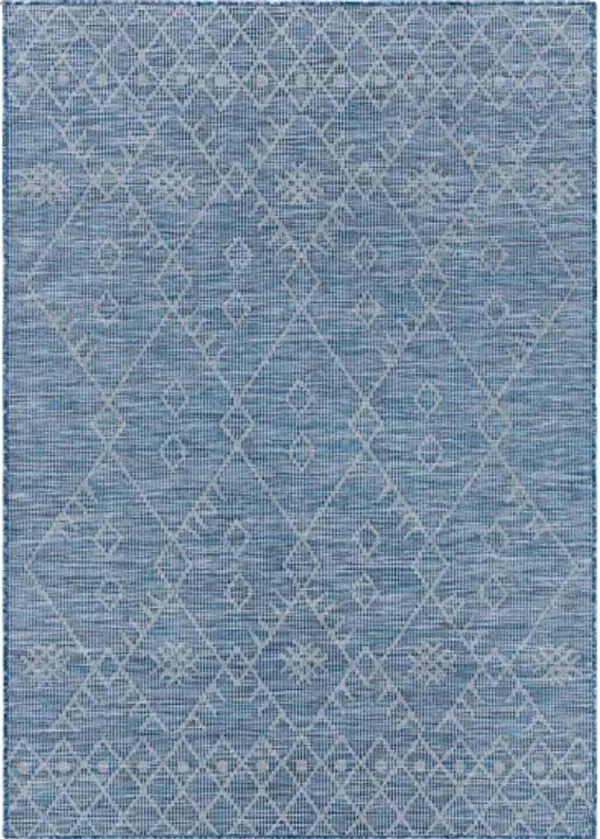 Pasadena 2'6" x 4' Rug