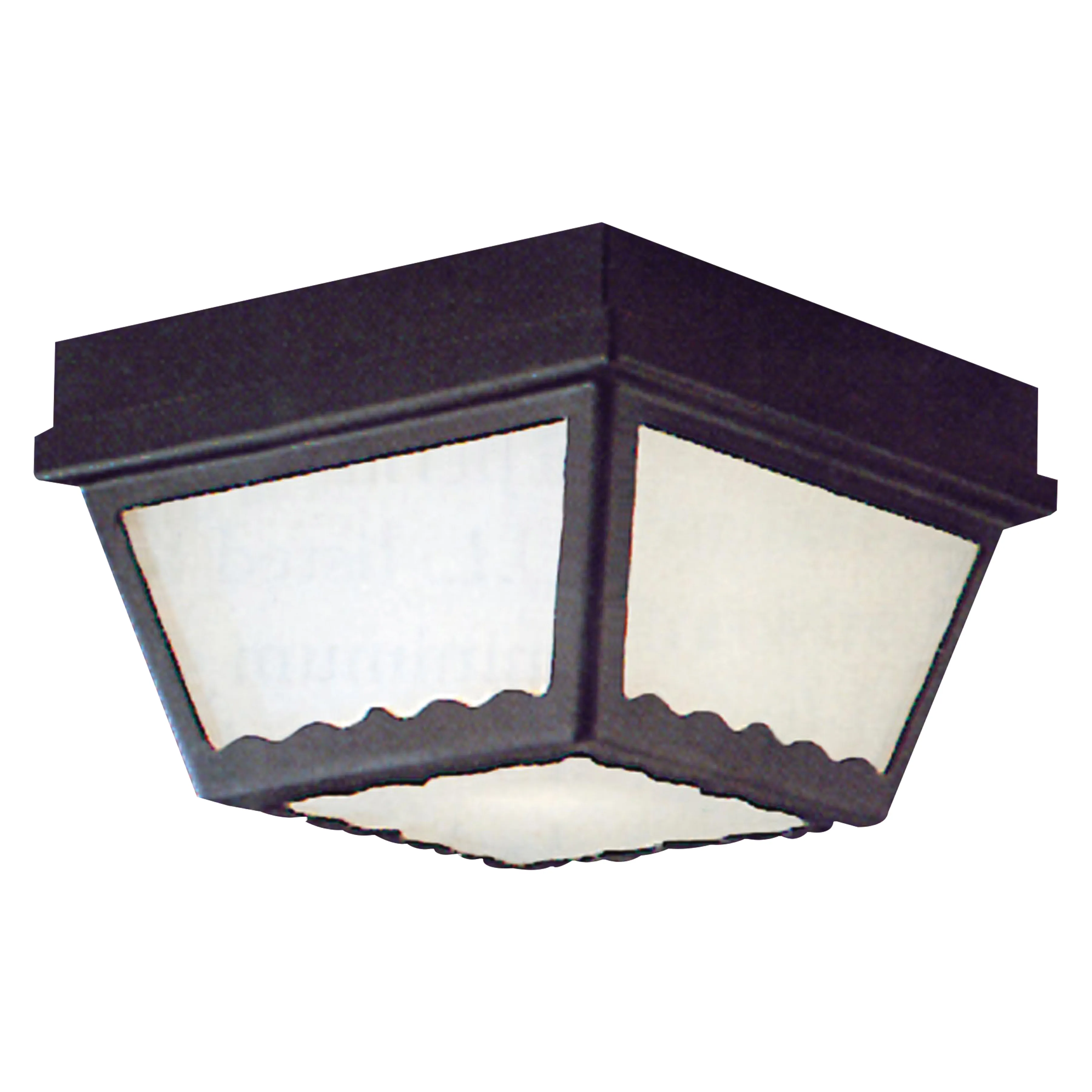 Outdoor Essentials 9.5'' Wide 2-Light Outdoor Flush Mount - Black