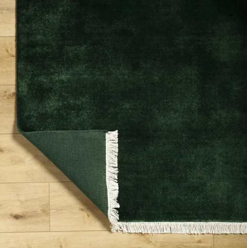 Evergreen EVG-2313 6' x 6' Hand Made Rug