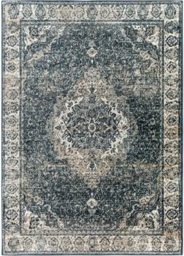 Davaro 9'2" x 12' Rug