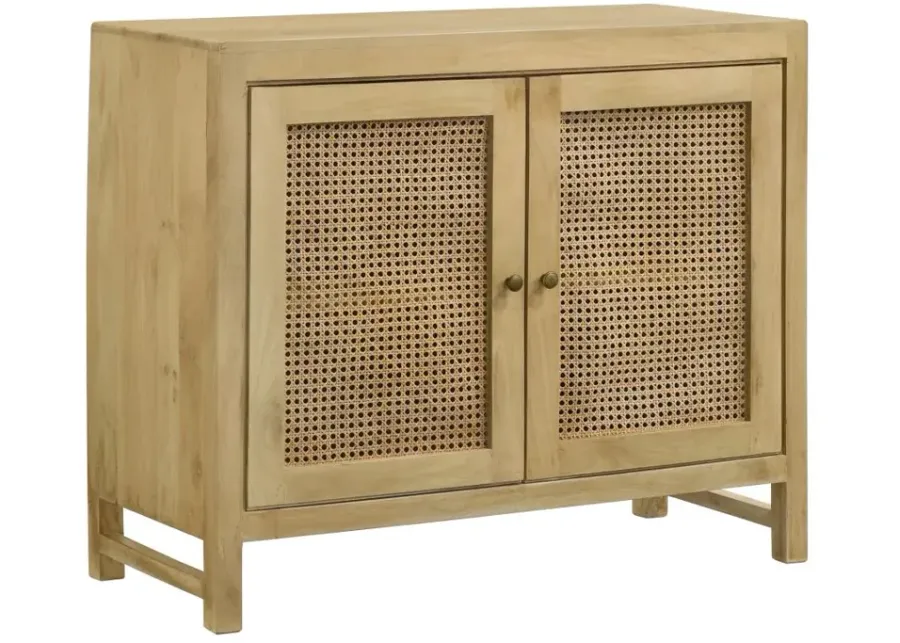 Zamora 2-Door Accent Cabinet