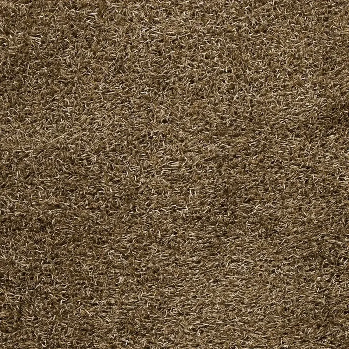 Taz TAZ-1022 2' x 3' Hand Made Rug
