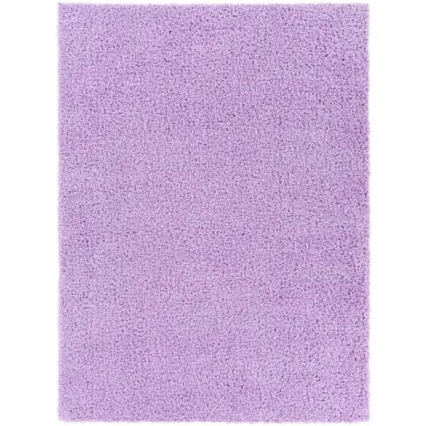 Bliss shag 2' x 3' Rug