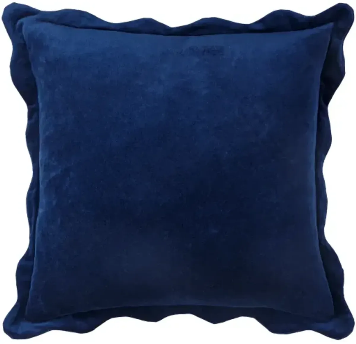 Effervescent EFC-007 22"L x 22"W Accent Pillow