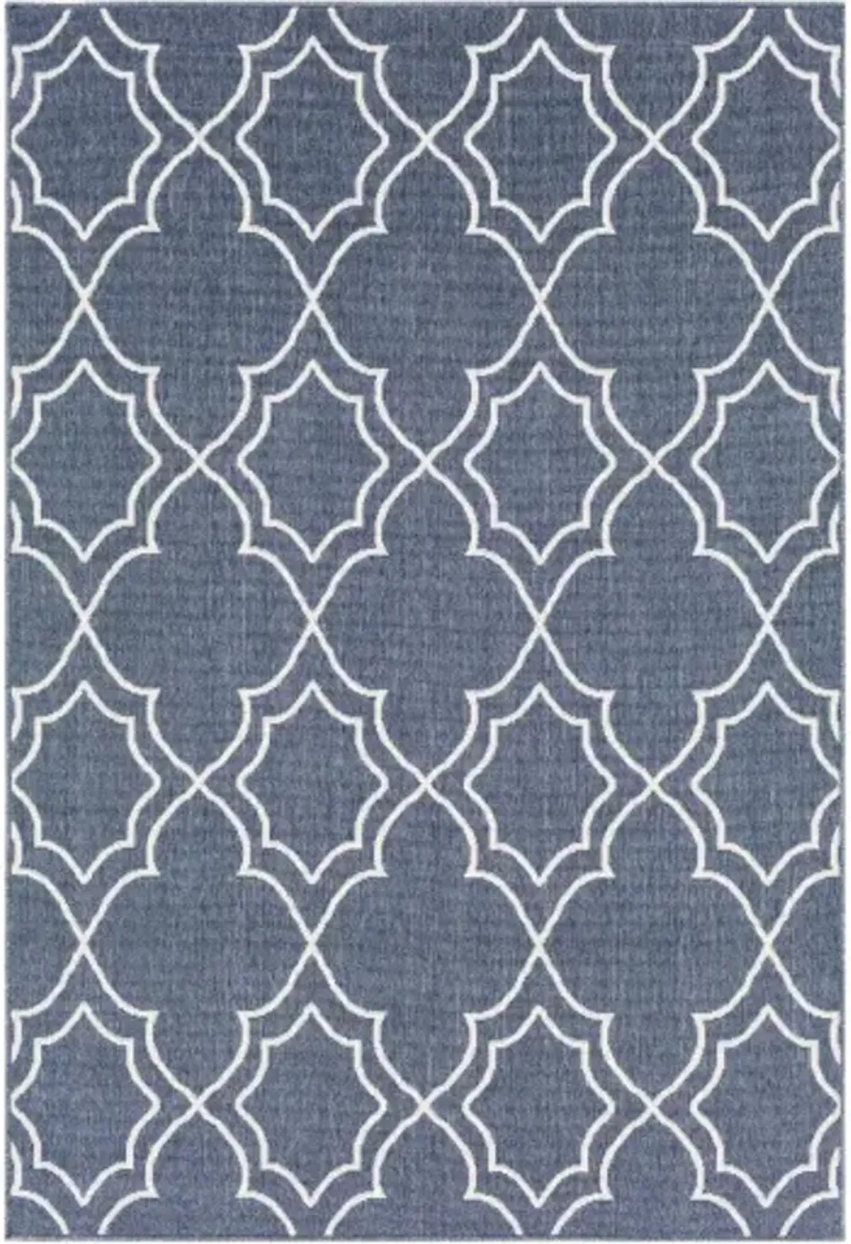 Alfresco 2'5" x 4'5" Rug