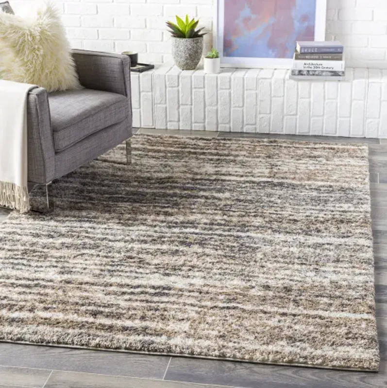 Aliyah shag 6'7" x 9' Rug