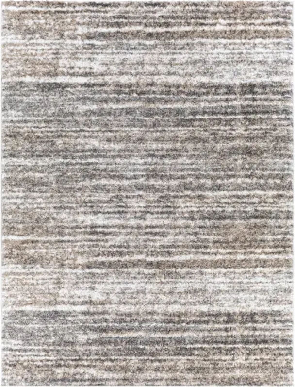 Aliyah shag 6'7" x 9' Rug