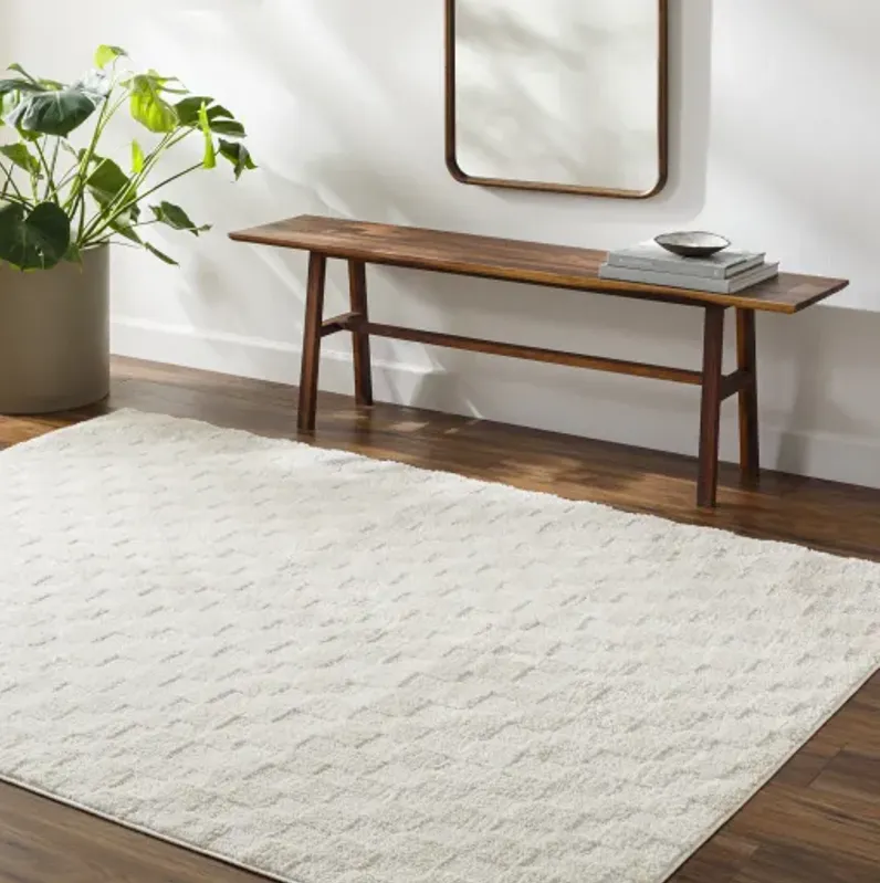 Freud FEU-2306 2'7" x 7'3" Machine Woven Rug