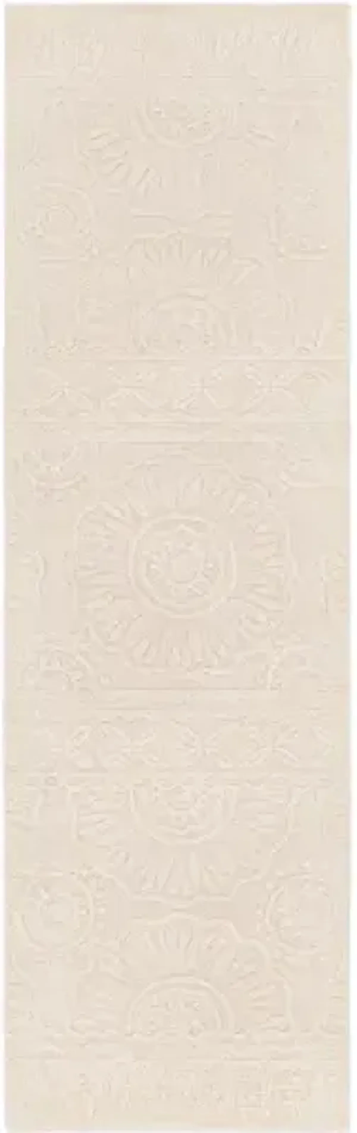Taraash TRH-2301 2'6" x 8' Rug