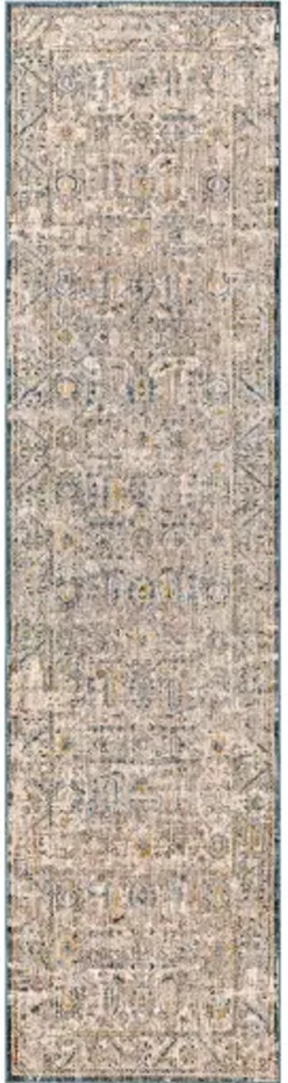 Aspendos APS-2313 2'7" x 10' Rug