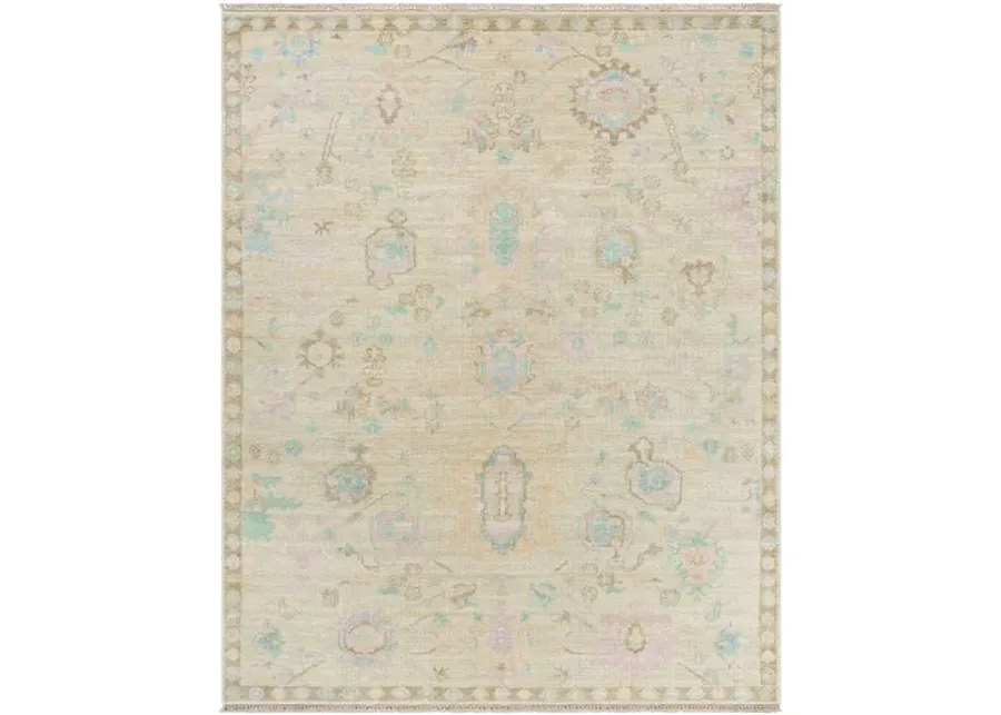 Antalya AAT-2307 12' x 15' Handmade Rug