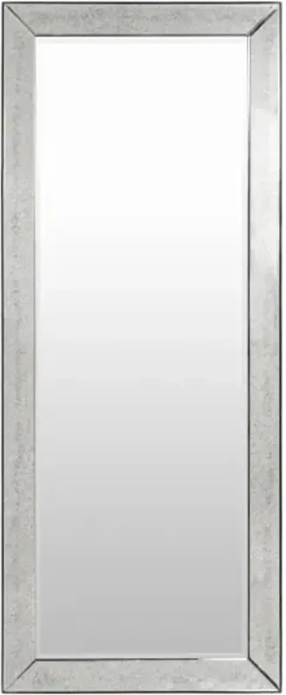 Calloway 72"H x 30"W Mirror