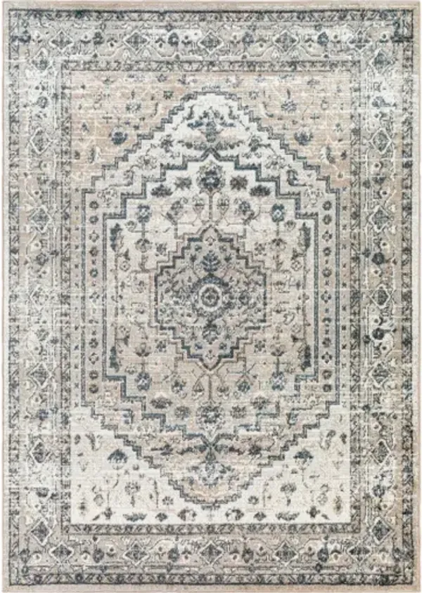 Davaro 9'2" x 12' Rug