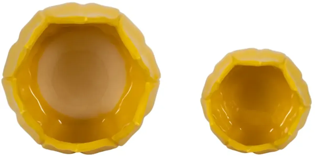 S/2 5/8" Petal Planters, Yellow