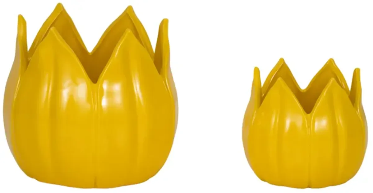 S/2 5/8" Petal Planters, Yellow