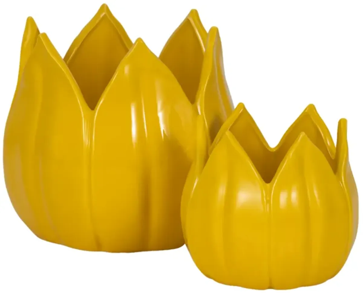 S/2 5/8" Petal Planters, Yellow