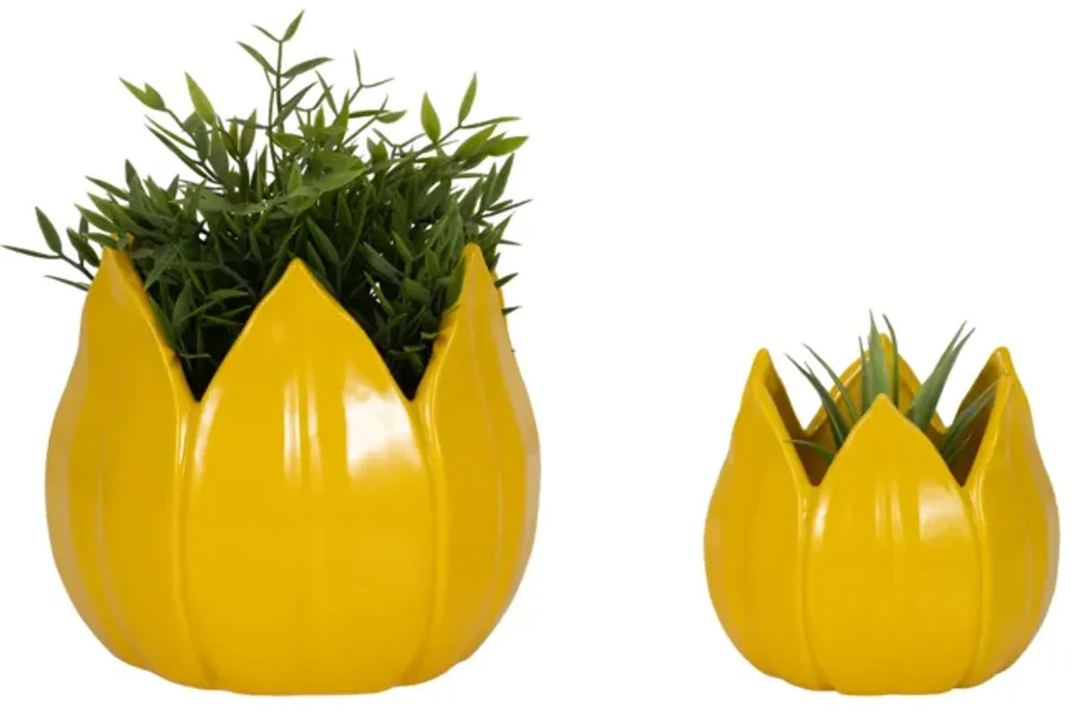 S/2 5/8" Petal Planters, Yellow