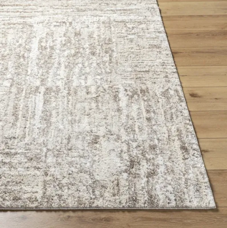 Andorra Plus ARP-2303 2' x 2'11" Machine Woven Rug