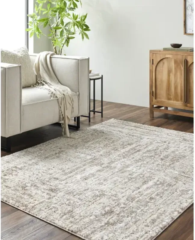 Andorra Plus ARP-2303 2' x 2'11" Machine Woven Rug