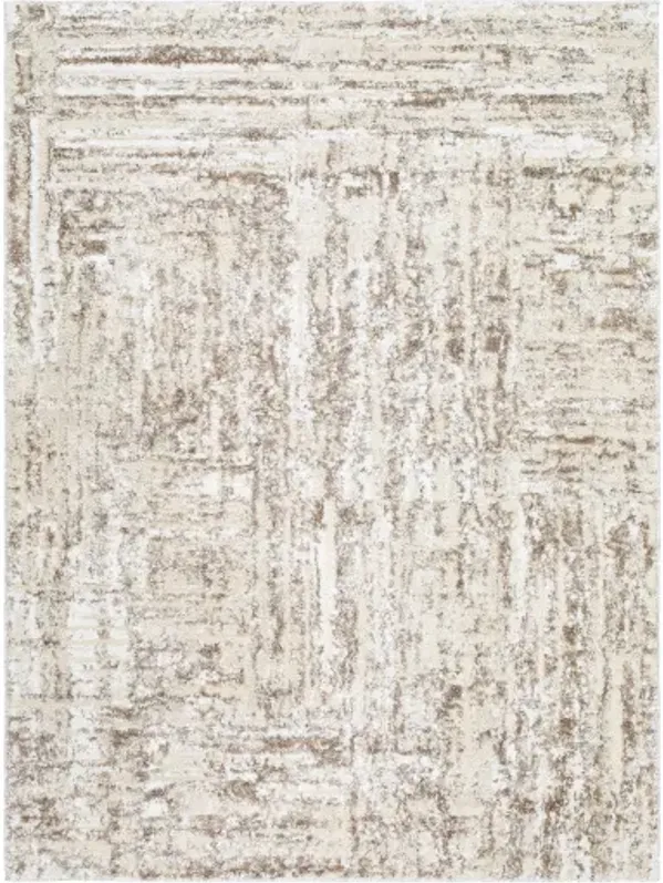 Andorra Plus ARP-2303 2' x 2'11" Machine Woven Rug