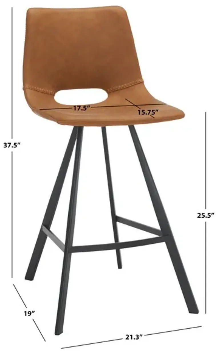 Raylee Counter Stool