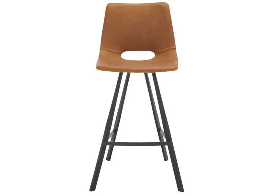 Raylee Counter Stool