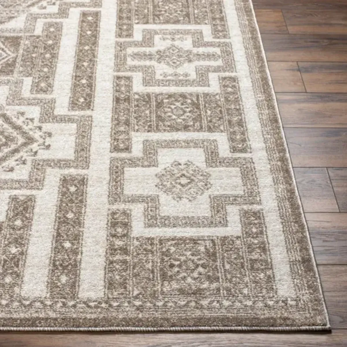 Positano PSN-2314 8'10" x 12' Machine Woven Rug