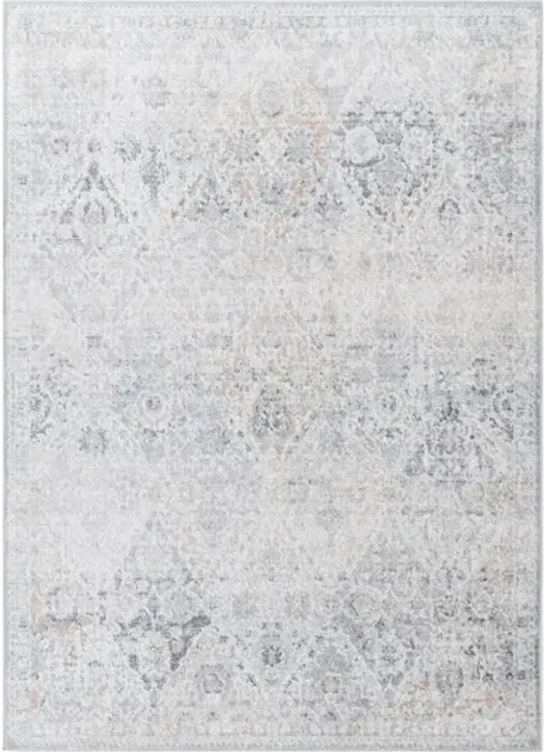 Harput HAP-1167 6'7" x 9' Machine Woven Rug
