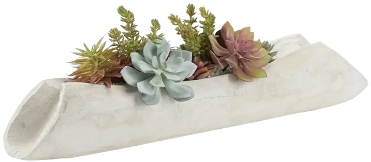 Flocked Agave with Assorted Succulents in White Washed Log