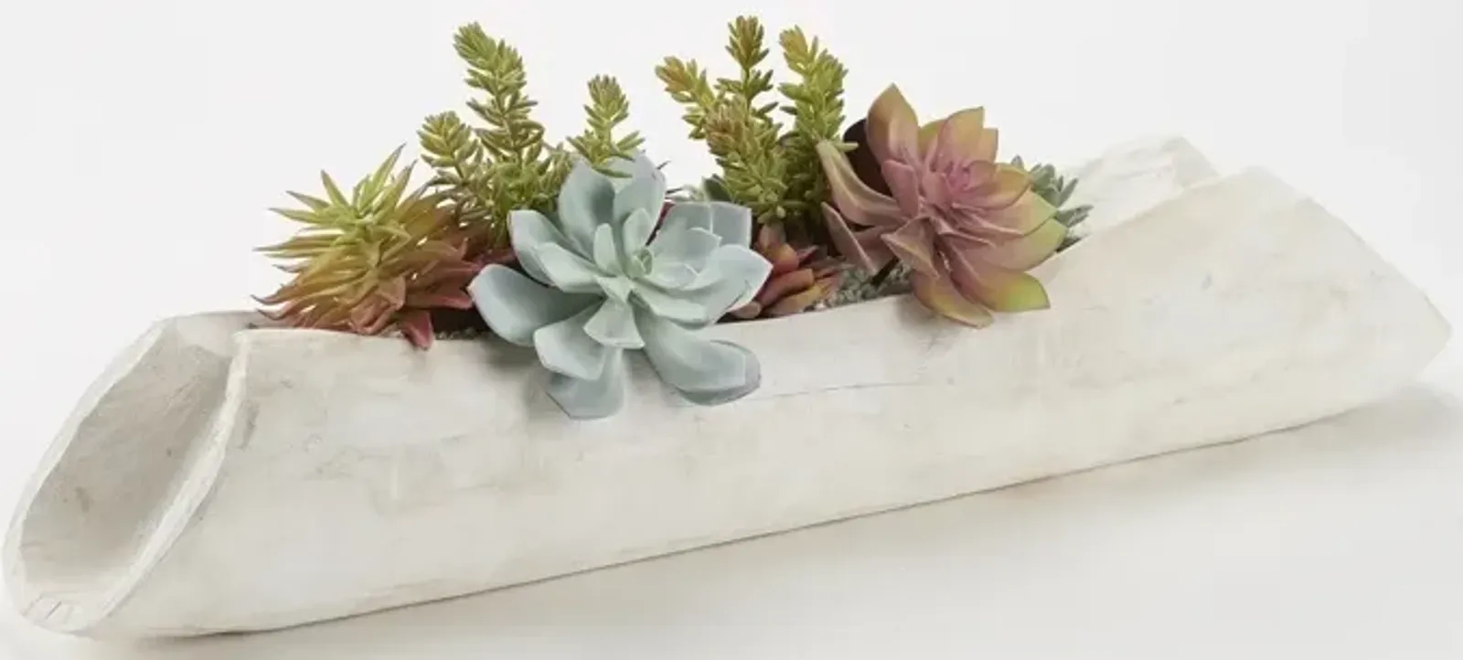 Flocked Agave with Assorted Succulents in White Washed Log