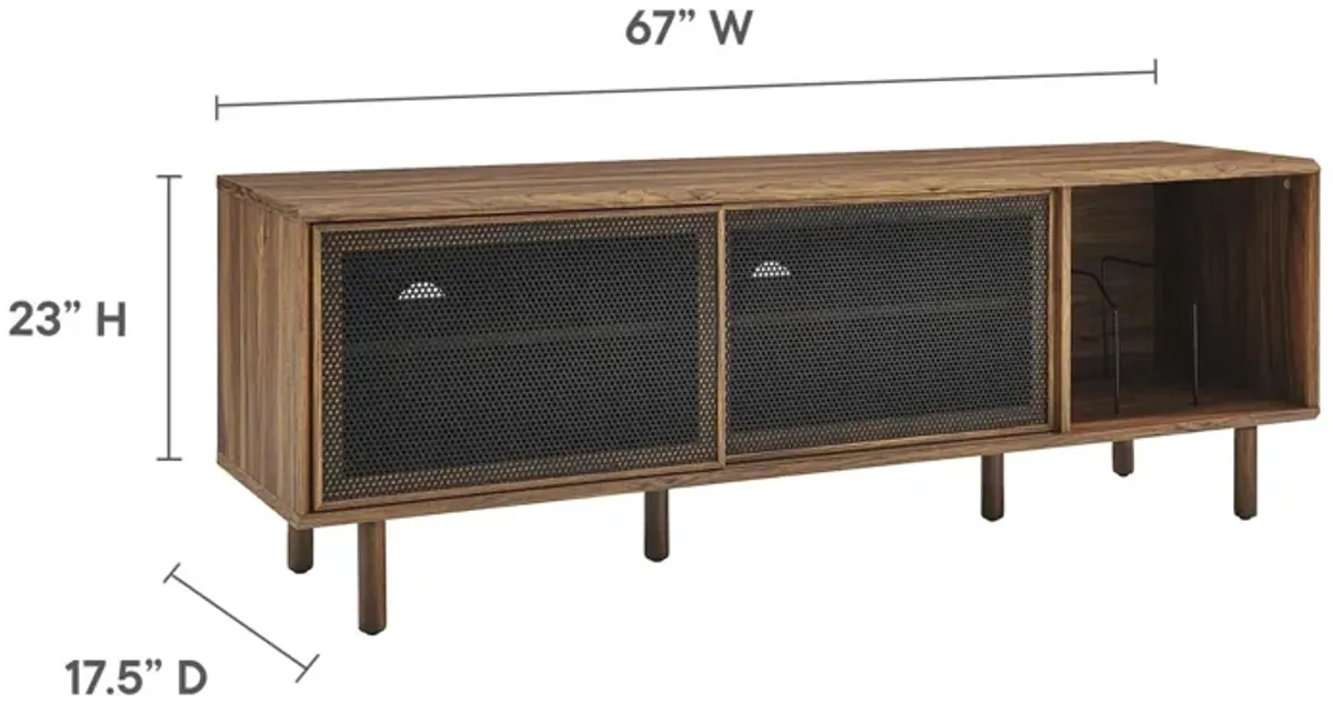 Kurtis 67" TV and Vinyl Record Stand