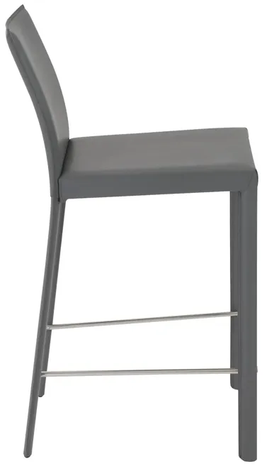 Hasina Counter Stool in Gray with Polished Stainless Steel Legs - Set of 2