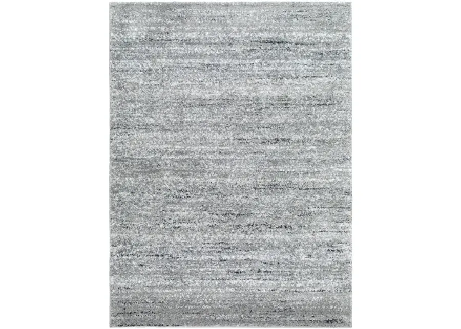 Portofino PTF-2323 8'10" x 12' Machine Woven Rug