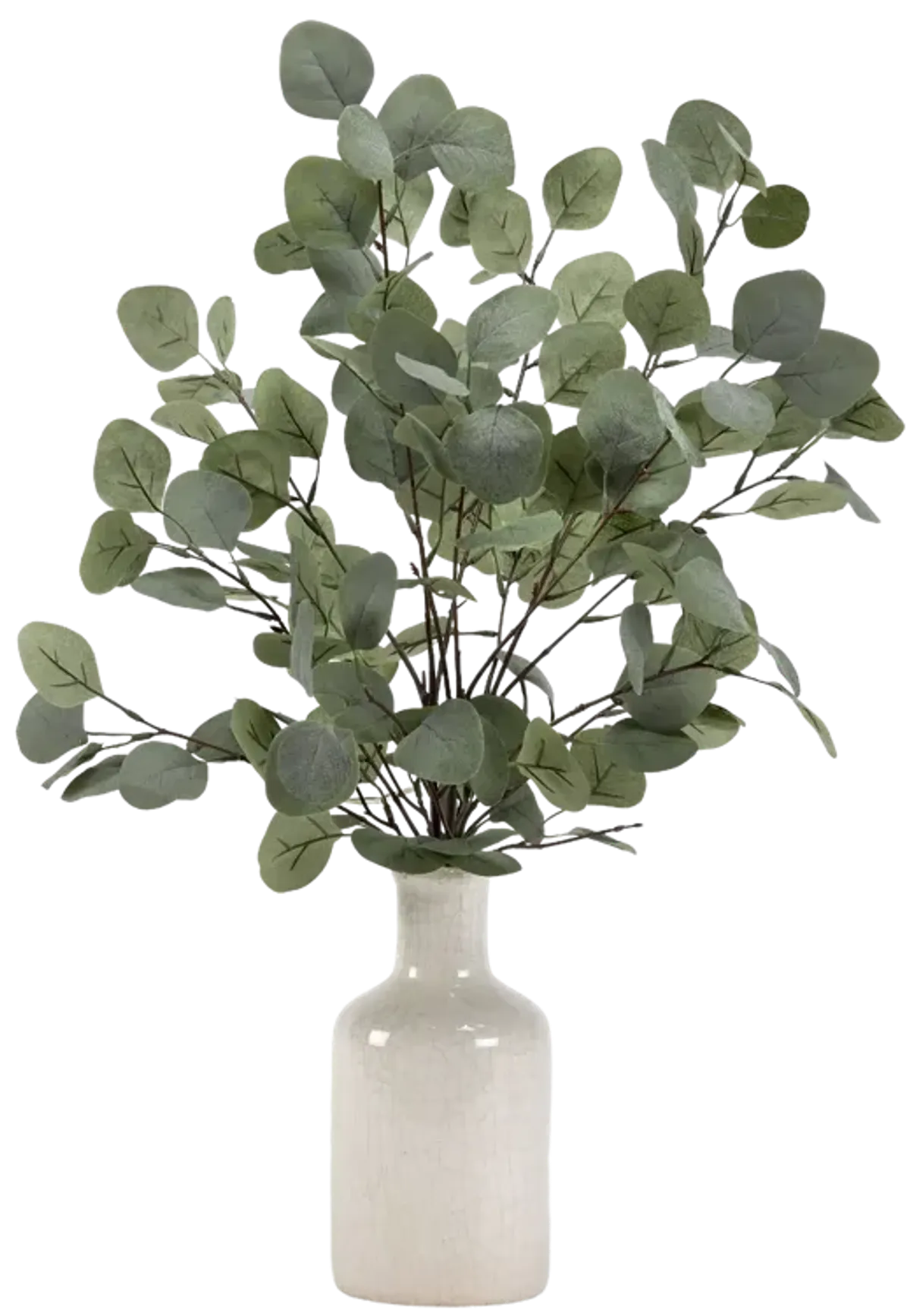 Grey/Green Eucalyptus in Ceramic Bottle